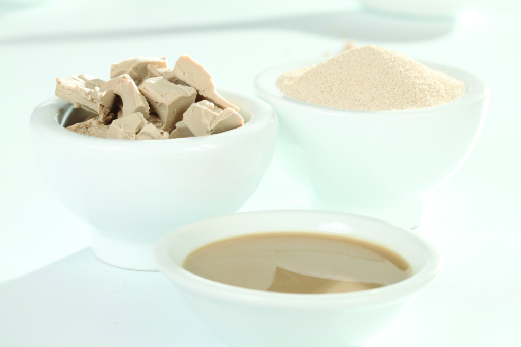 Kuvituskuva hivakermasta, puristehiivasta ja kuivahiivasta.