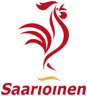 Saarioinen